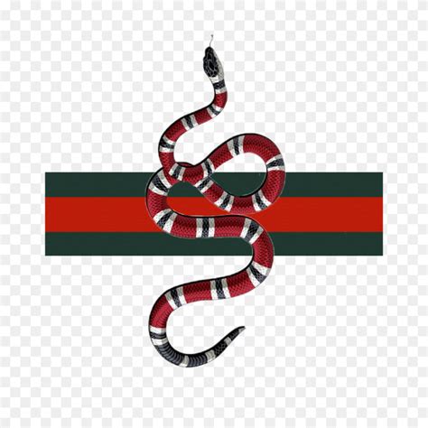 gucci snacke senza sfondo|gucci snake meaning.